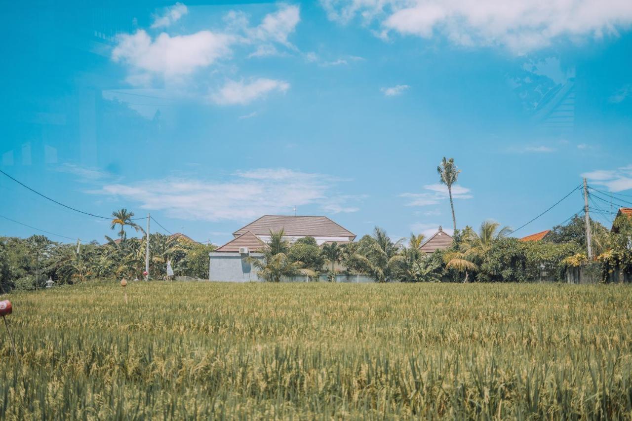 Gajah Villa By Betterplace Canggu  Bagian luar foto