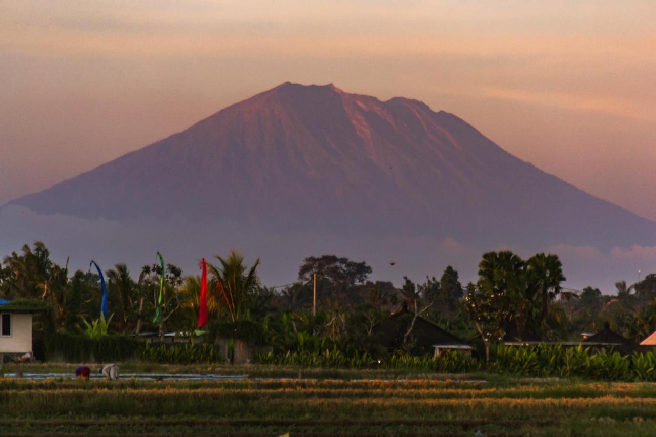 Gajah Villa By Betterplace Canggu  Bagian luar foto
